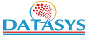 DATASYS CONSULTING & SOFTWARE INC