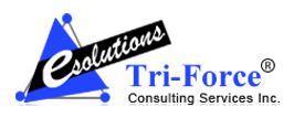 Tri-Force Consulting Services Inc