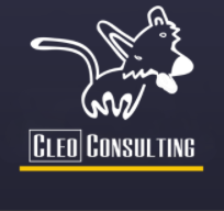 Cleo Consulting Inc.