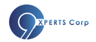 C9xperts Corp.