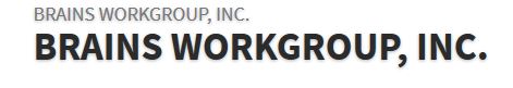Brains Workgroup, Inc.