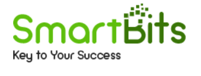Smart Business IT Solutions Inc