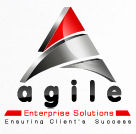 Agile Enterprise Solutions, Inc.