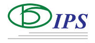 IPS Technology Services, LLC