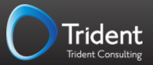 Trident Consulting Inc.
