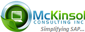 McKinsol Consulting Inc