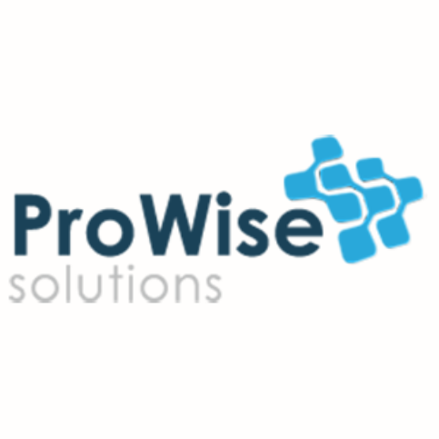 Prowise Solutions Inc